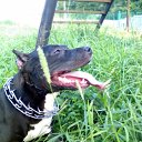 ���� �������, ����������, 38 ��� - ��������� 23 ������� 2011 � ������ ���� ����������