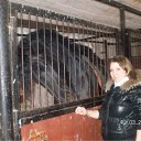 ���� �������, ������, 37 ��� - ��������� 12 ��� 2011 � ������ ���� ����������