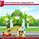    , , 24  -  24  2010   PetLove