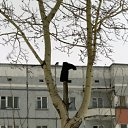 ���� ������, ������������, 53 ���� - ��������� 30 ������� 2010 � ������ ����������� �������� ����.�