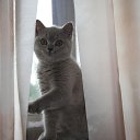 ���� �����, ������, 52 ���� - ��������� 20 ������� 2012 � ������ ���� ����!!�