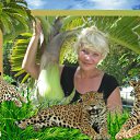  , -, 64  -  21  2011    