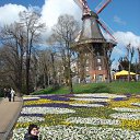 ������ �� ������� ���� ����������