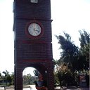  Vladimir,  -  13  2012    2010.