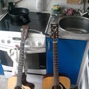   ....  .........  ...     