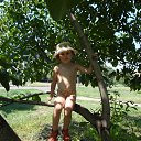 ���� ������, ������, 42 ���� - ��������� 29 ������� 2011 � ������ �������