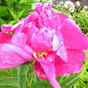 ���� �������, ���������, 69 ��� - ��������� 17 ������� 2011 � ������ ���� ��������