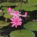 ���� ����� - ���������� ��������!!!, �����������, 56 ��� - ��������� 10 ������ 2010 � ������ ������� �����