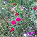 ���� Rina, �������, 39 ��� - ��������� 26 ������ 2010 � ������ ��������