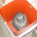 ���� �����, �������, 56 ��� - ��������� 29 ������� 2012 � ������ ������� �������