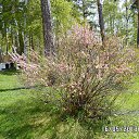  ,  -  26  2013    ""  2013 . 