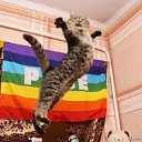 ���� ������4��, ������, 24 ���� - ��������� 25 ������� 2012