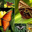      ,
    .
    
  
, , ...   