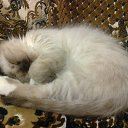 ���� �������, ��������� - ��������� 26 ������ 2013 � ������ ����������))�