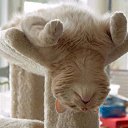 ���� �������, �������, 59 ��� - ��������� 13 ������ 2010 � ������ �������