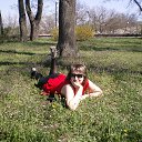 ���� ���������, ��������, 43 ���� - ��������� 23 ������ 2013 � ������ ���� ����������