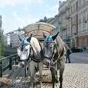 ���� ������, ����, 64 ���� - ��������� 28 ���� 2012 � ������ �Cehija.Praga.Karlovi Vari.�