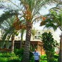 � ������ �� ������ �������� ���� �� ������� ���� ����������