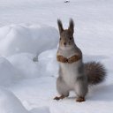 ���� ���������, ������, 61 ��� - ��������� 1 ��� 2011 � ������ ��������...�