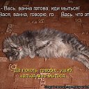 ���� Ninel, ���������, 61 ��� - ��������� 16 ������� 2012 � ������ �����Ȼ