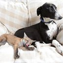 ���� ����� - ���������� ��������!!!, �����������, 56 ��� - ��������� 14 ���� 2010 � ������ �� ����� �������� � ... �� ������