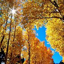  Back To Real Life, , 57  -  1  2012    