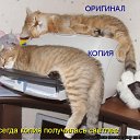 ���� �������, ������, 71 ��� - ��������� 2 ������ 2011 � ������ ���� �������� �����������