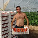 ���� ������, �������, 42 ���� - ��������� 5 ����� 2013 � ������ ���� ����������