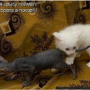  Lika,  -  3  2010      2 :))