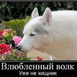 Artem, ������, 38 ���