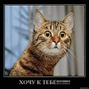 ���� Katoteshi, �������, 45 ��� - ��������� 11 ������� 2011 � ������ ������