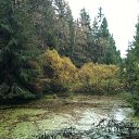 ���� ���������, ������� �����, 43 ���� - ��������� 3 ������� 2012 � ������ �������