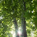 ����� ������ ����� ���������� ������ �������. �� ������� ����λ