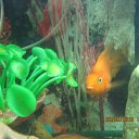 ��� �������� �� ������� ��������