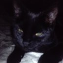 ���� ����, ��������, 49 ��� - ��������� 27 ������� 2010 � ������ �������