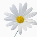 ���� ����� - ���������� ��������!!!, �����������, 56 ��� - ��������� 15 ������ 2010 � ������ �������� ��� ���� :-)))�