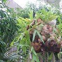 ���� ������, �����, 43 ���� - ��������� 12 ����� 2013 � ������ ���� ����������