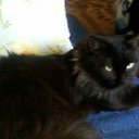 ���� ����, ���������, 32 ���� - ��������� 22 ��� 2012 � ������ ���� ����������