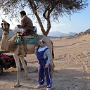  She's Like The Wind,  -  23  2011    ...