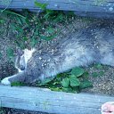  , -, 40  -  16  2011     