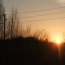  , , 36  -  20  2010    .