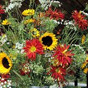 ���� ����� - ���������� ��������!!!, �����������, 56 ��� - ��������� 15 ������ 2010 � ������ �������� ��� ���� :-)))�