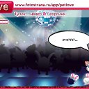  , , 33  -  24  2011   PetLove