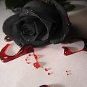 ���� ����, ����-�������, 46 ��� - ��������� 9 ���� 2013 � ������ ���� ����������