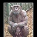 ���� ���, ������, 49 ��� - ��������� 31 ������� 2010