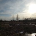  , , 36  -  20  2010    .