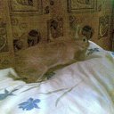 ���� �����, �����-���������, 50 ��� - ��������� 15 ������ 2010 � ������ ���������.�