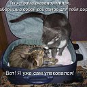 ���� ��������, ������ - ��������� 27 �������� 2010 � ������ ���������!!!�