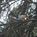 ���� ��������, ���������, 61 ��� - ��������� 11 ���� 2013 � ������ ���� ����������