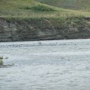  , , 41  -  23  2010   ~   ~